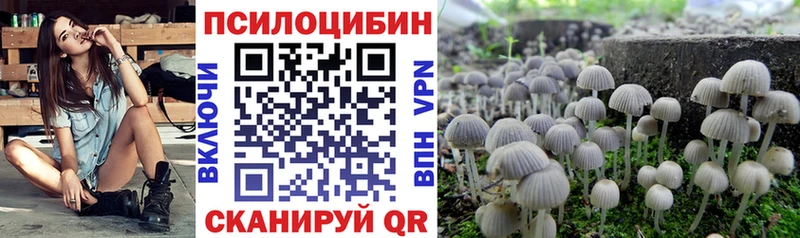 закладки  Ряжск  Псилоцибиновые грибы Psilocybine cubensis 
